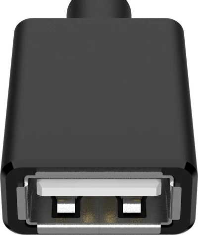 USB Type-A socket, face on