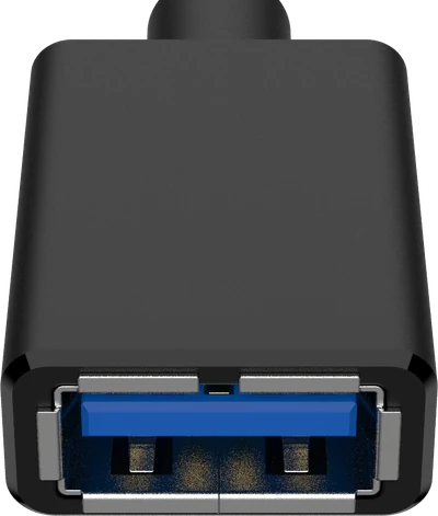 USB Type-A (SuperSpeed) socket, face on